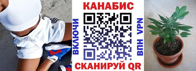 МАРИХУАНА сатива  Стерлитамак 
